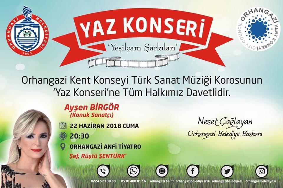 YAZ KONSERİ