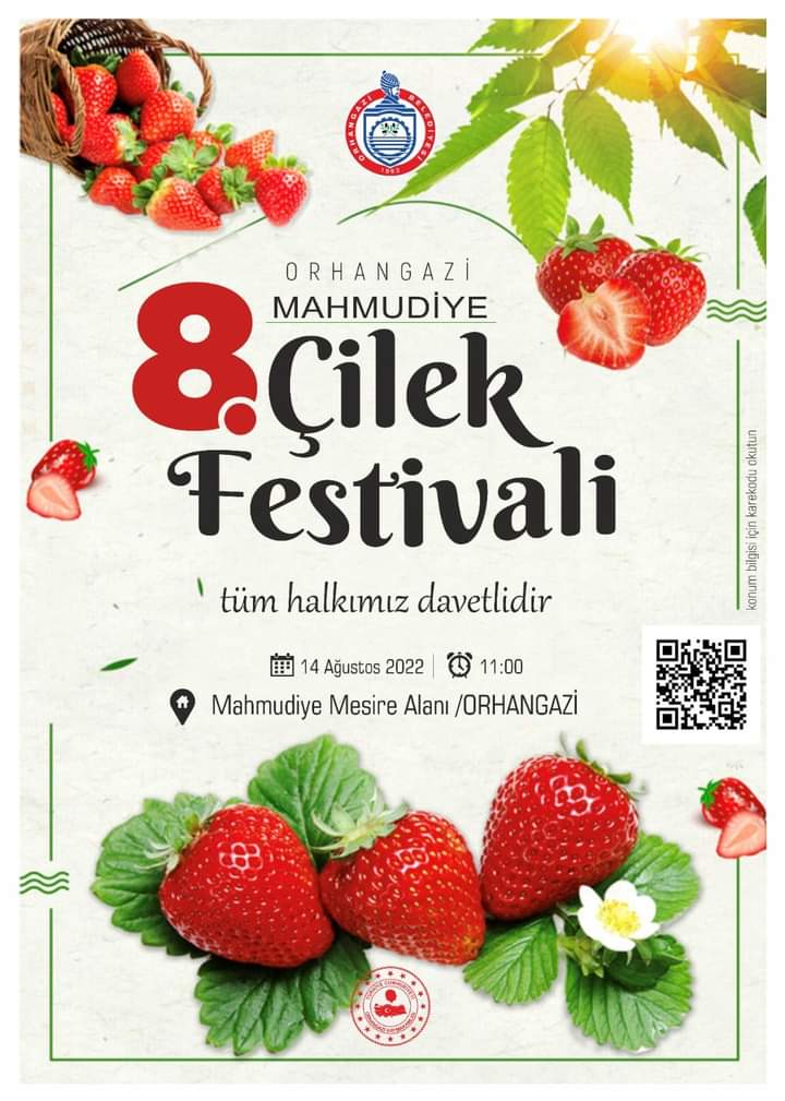 Mahmudiye Çilek Festivali Halkla Buluşmaya Hazır