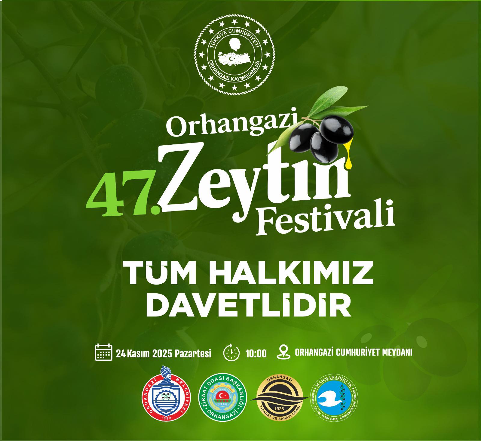 Zeytinin bereketi meydana çıkacak!