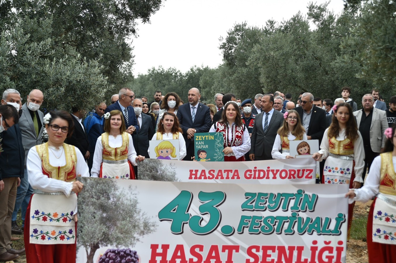 43. ZEYTİN FESTİVALİ HASAT ŞENLİĞİ