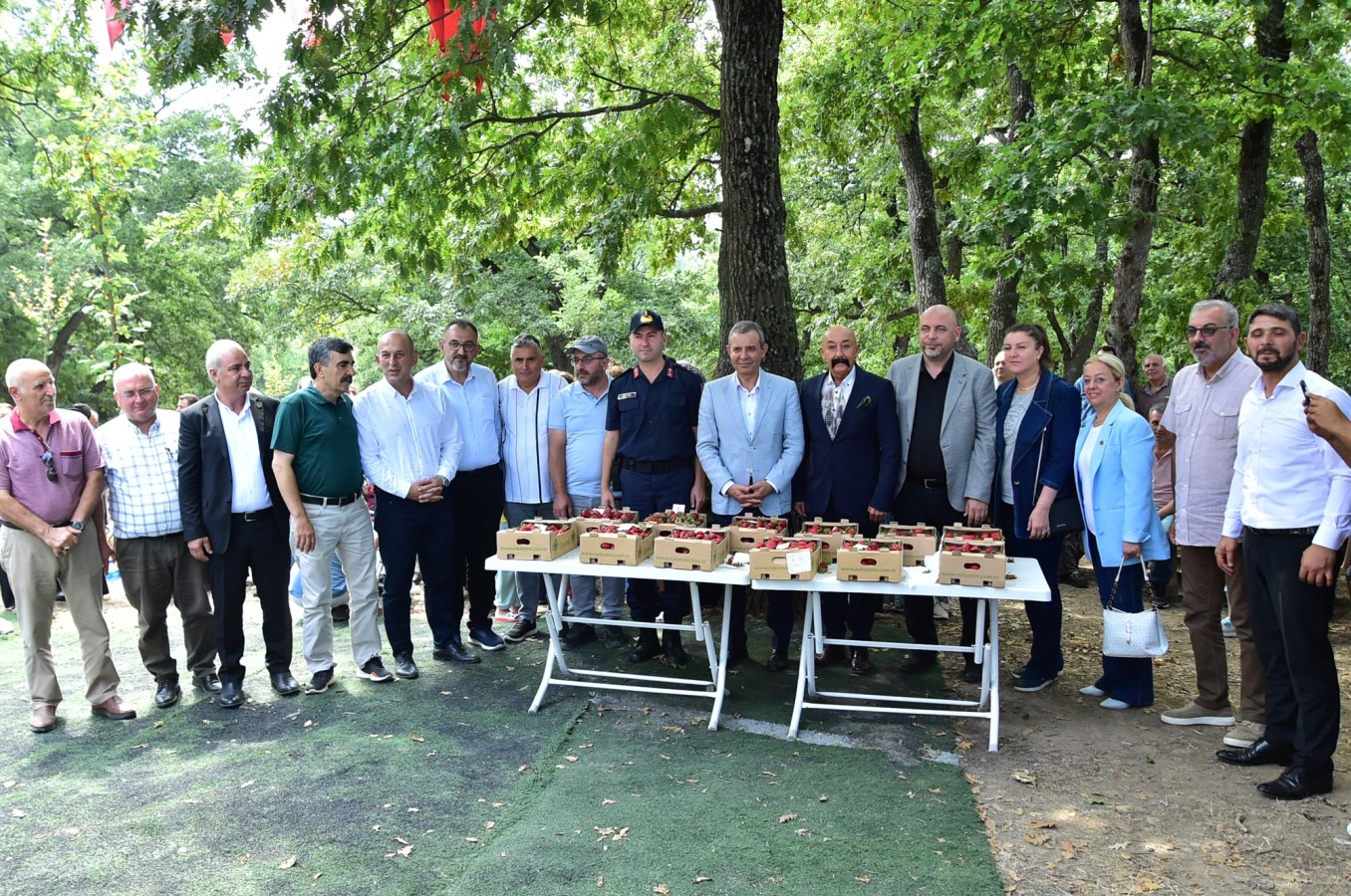 8’inci Orhangazi Mahmudiye Çilek Festivali