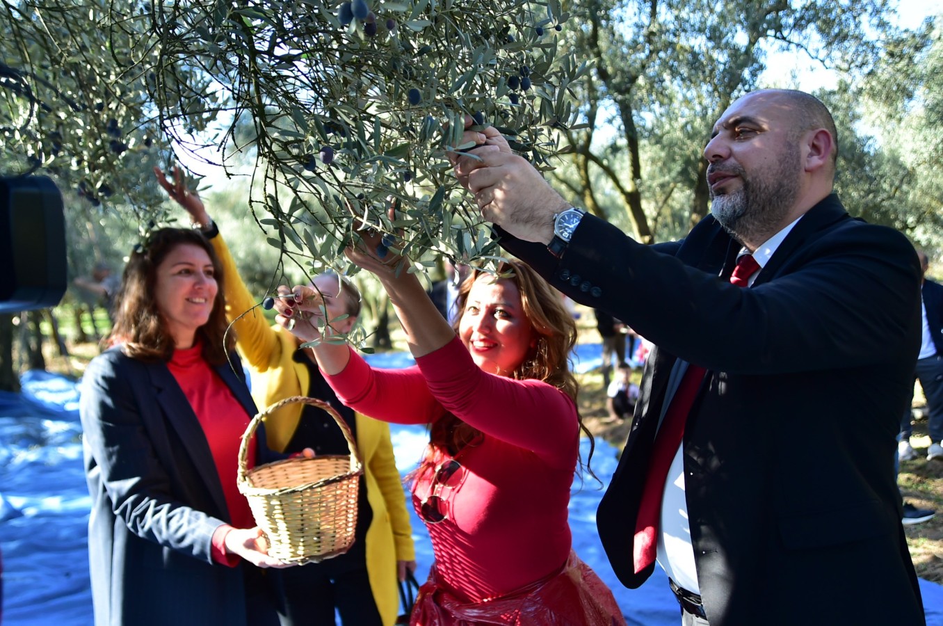 KARAVAN ZEYTİN HASADI ŞENLİĞİ