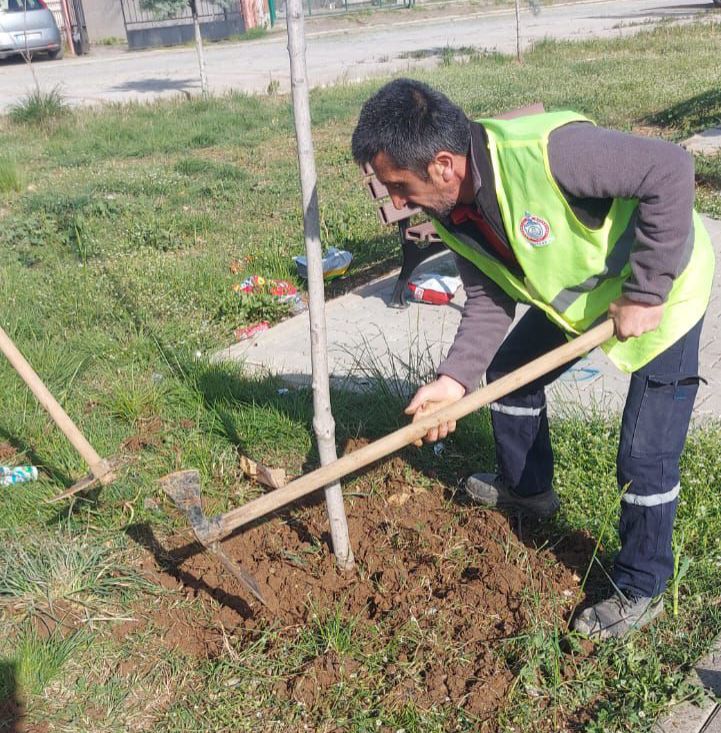 Çubuk Belediyesi