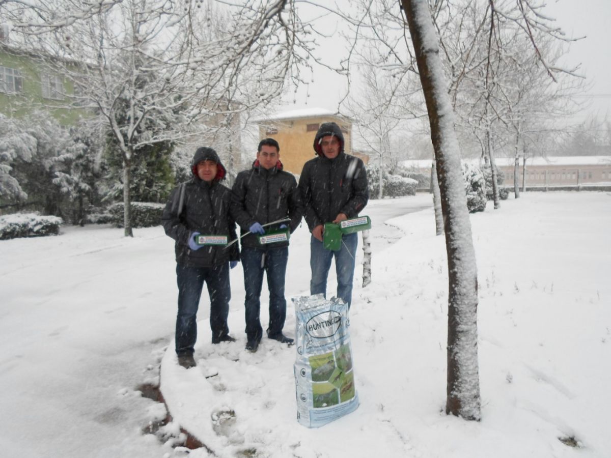 Veteriner İşleri Müdürlüğü Sokak Hayvanları İçin Besleme Odaklarına Yem Bırakmaya Devam Ediyor 