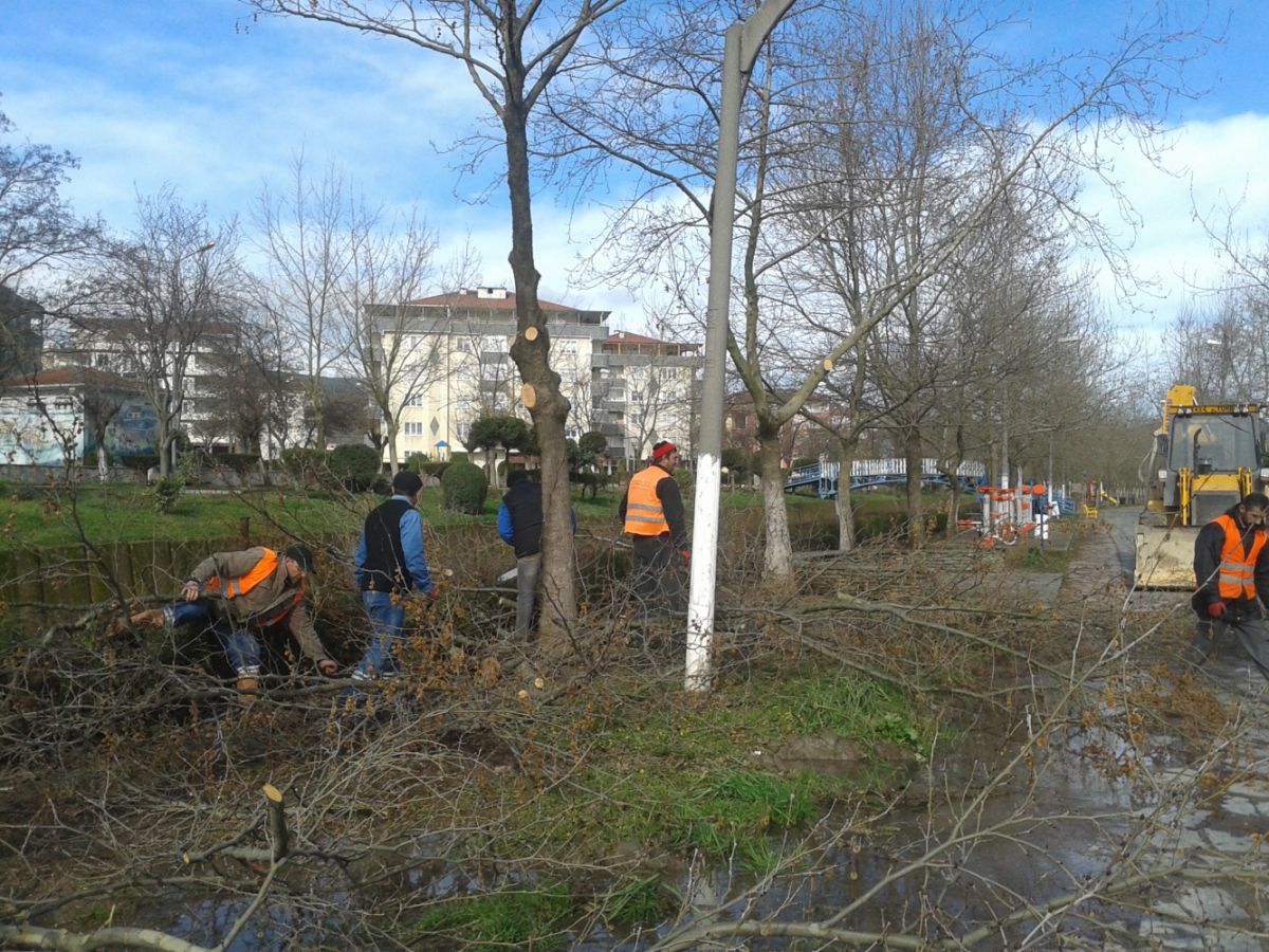 Park ve Bahçeler Müdürlüğü Amfi Tiyatro Bölgesinde Düzenleme Çalışmalarını Sürdürüyor 