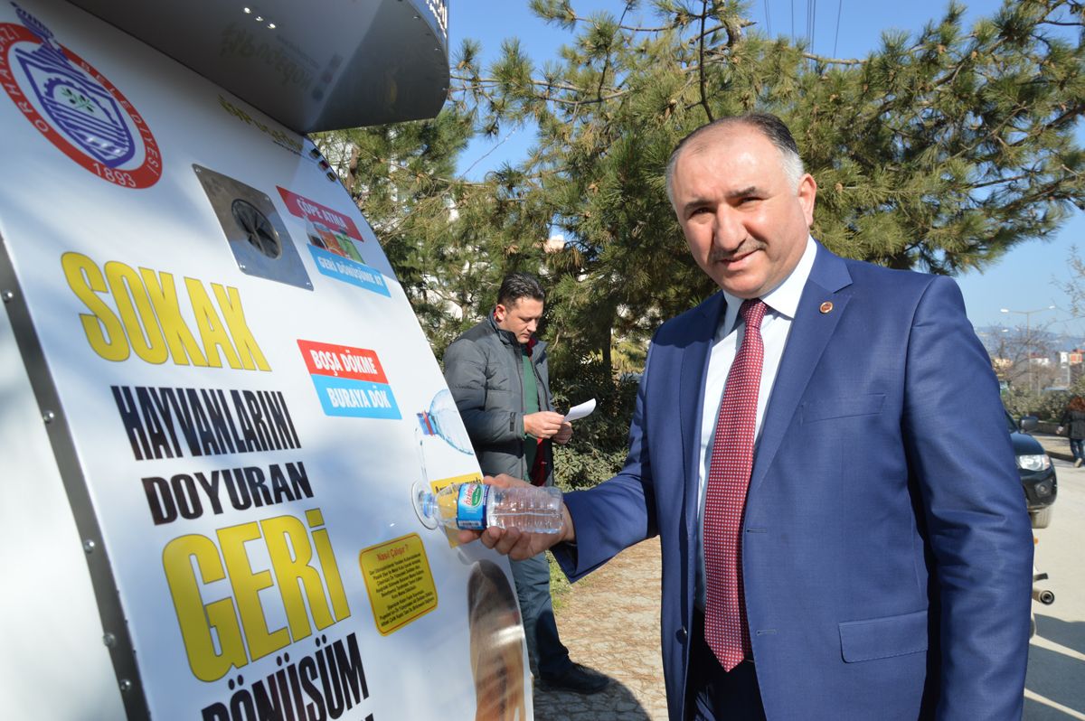 Sokak Hayvanları için barınak yapılacak 