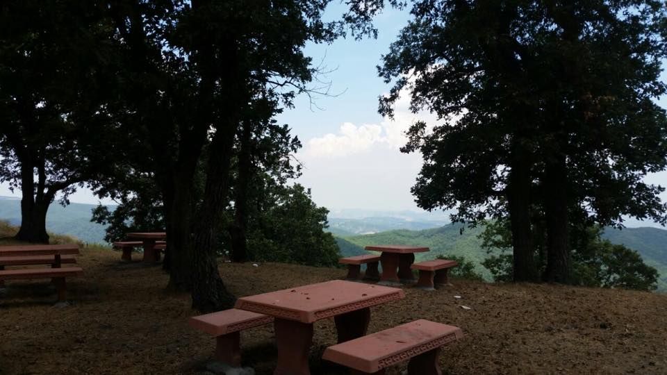 MAHMUDİYE MAHALLESİNDE KORULUK DÜZENLEMESİ YAPILDI 