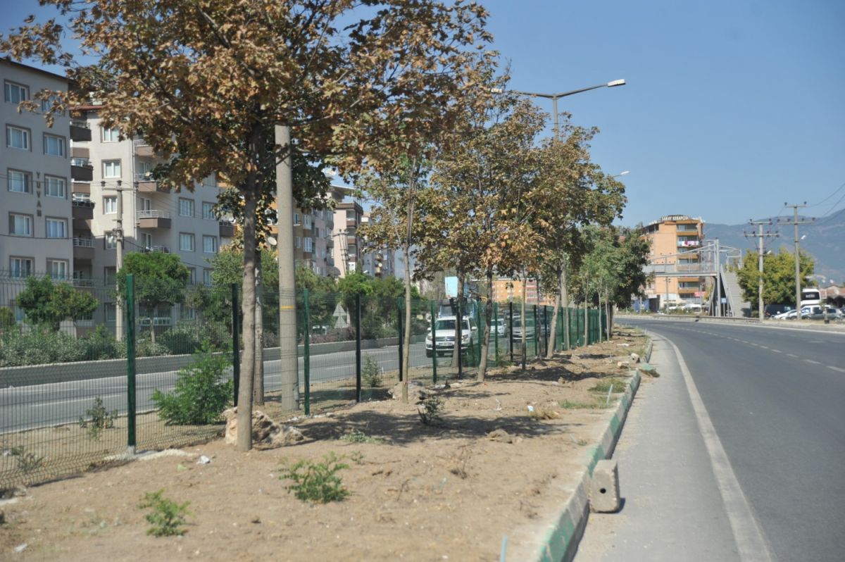 ORTA REFÜJE 400 ADET AĞAÇ DİKİLDİ 