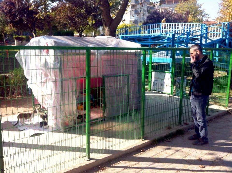 KEDİ SIĞINMA EVİ KIŞA HAZIRLANIYOR 