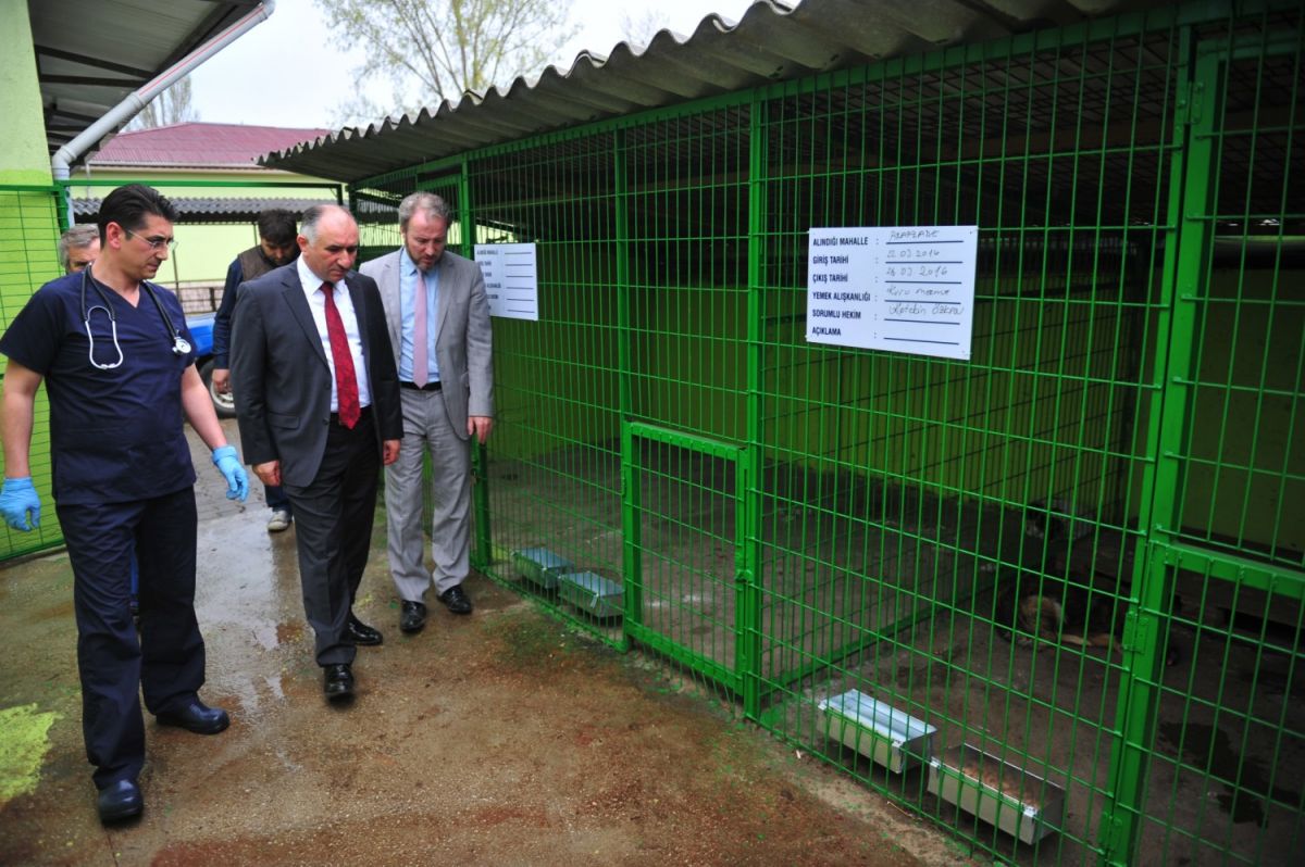 BAŞKAN ÇAĞLAYAN KÖPEK TOPLAMA MERKEZİNİ İNCELEDİ 