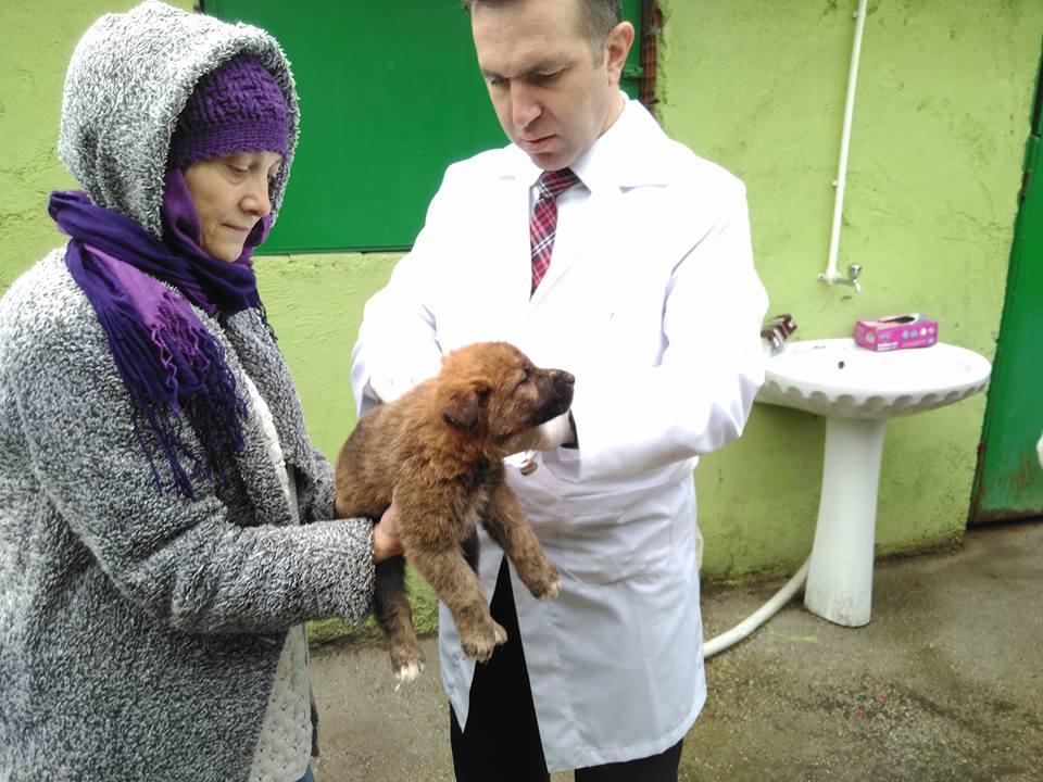 YAVRU KÖPEKLERE BELEDİYE VETERİNER HİZMETLERİ SAHİP ÇIKTI 