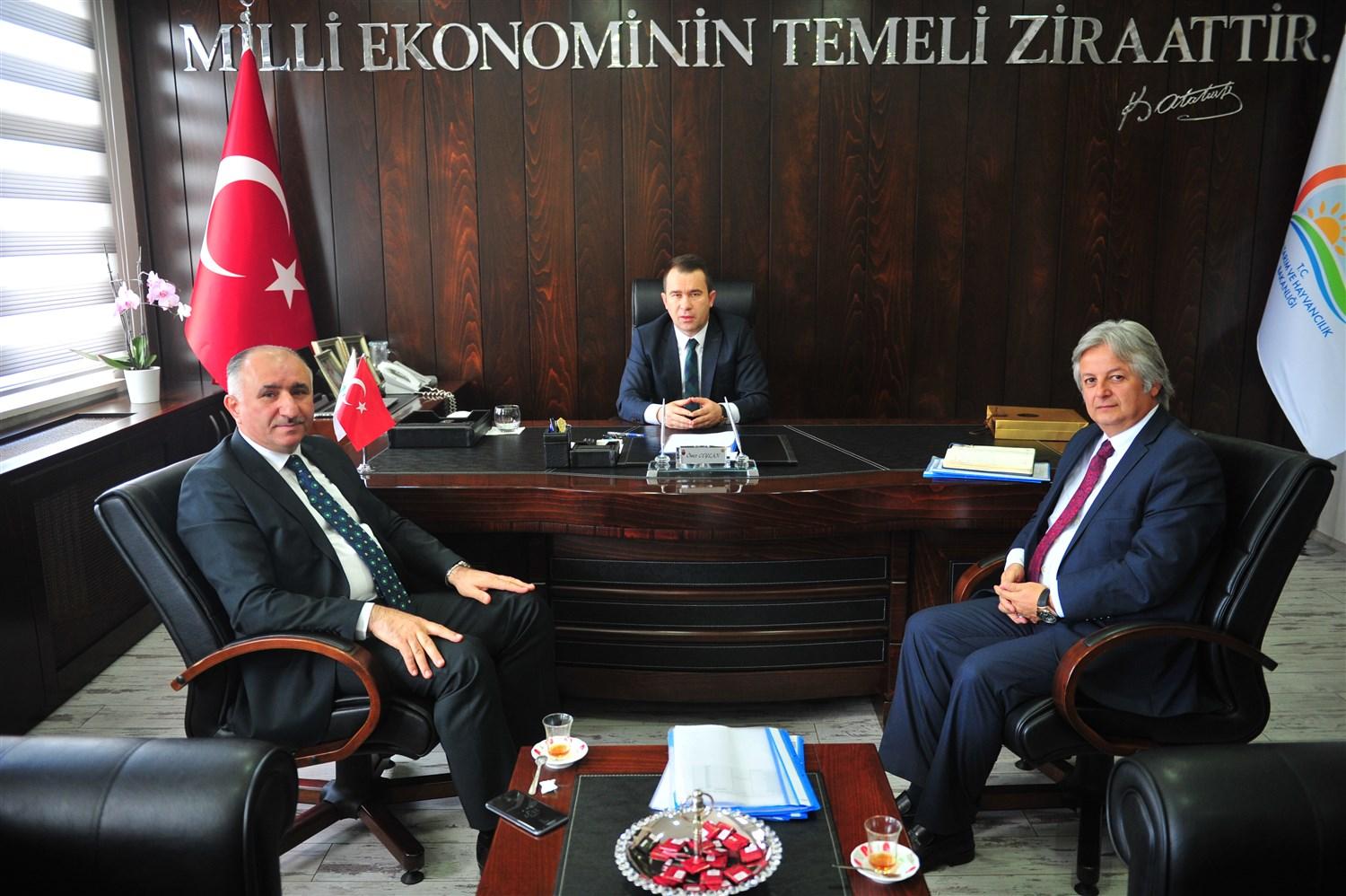 BAŞKAN ÇAĞLAYAN İL TARIM MÜDÜRÜNÜ ZİYARET ETTİ 