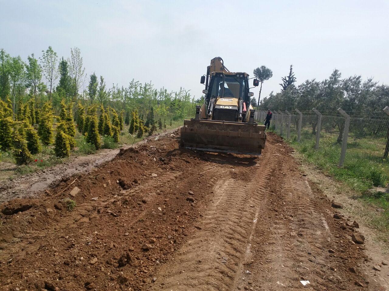 ZEYTİN HASAT MEVSİMİ ÖNCESİ ARAZİ YOLLARINA DÜZENLEME 