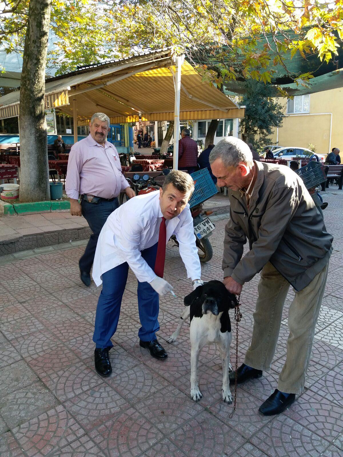VETERİNER İŞLERİ MÜDÜRLÜĞÜ AŞILAMA ÇALIŞMALARI DEVAM EDİYOR 