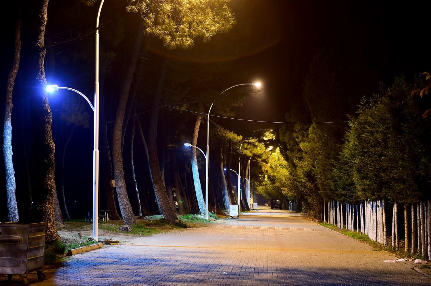 GÖL ÇAMLIK TESİSLERİ IŞIL IŞIL 