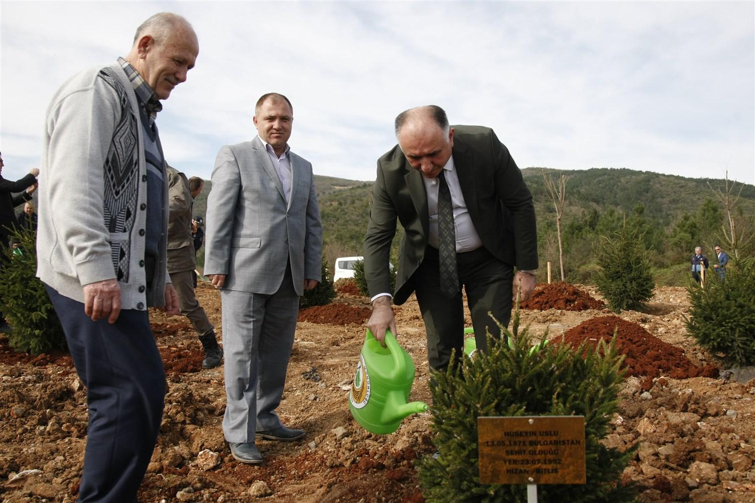 ORMAN HAFTASINDA FİDANLAR ŞEHİTLER ADINA TOPRAKLA BULUŞTU 
