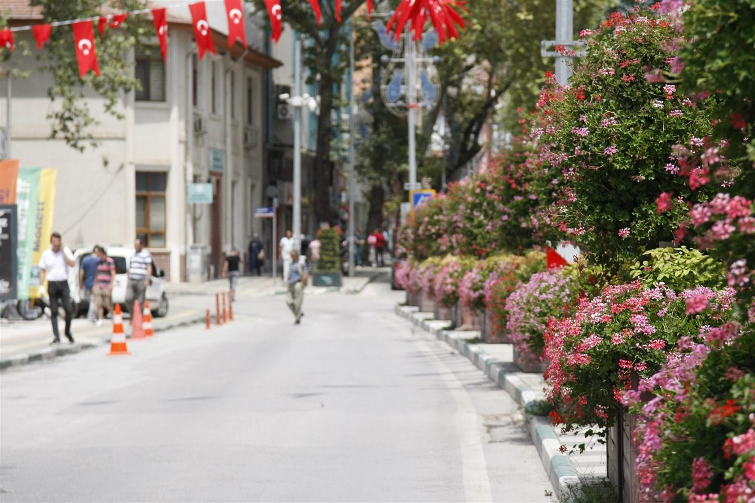 SON 3 AYDA İLÇE GENELİNE 1,5 MİLYON ÇİÇEK EKİMİ YAPILDI 