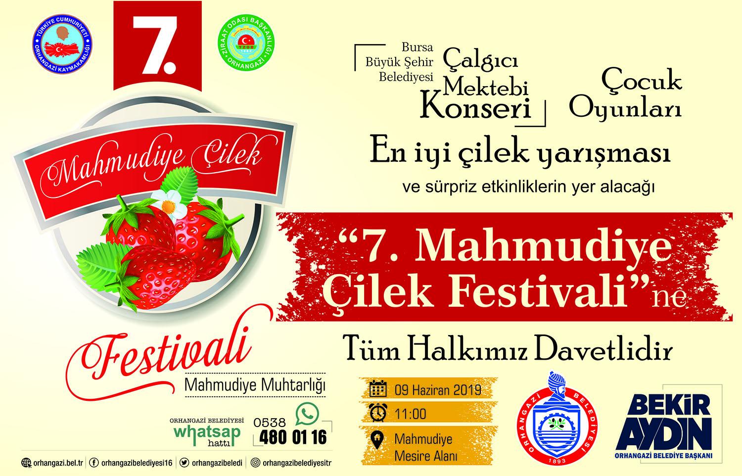 ÇİLEK TADINDA FESTİVAL BAŞLIYOR 