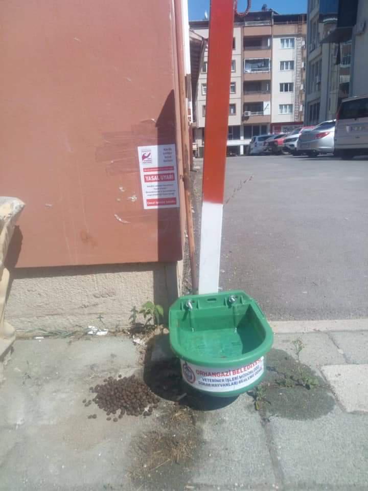 SOKAK HAYVANLARI SAHİPSİZ DEĞİL 