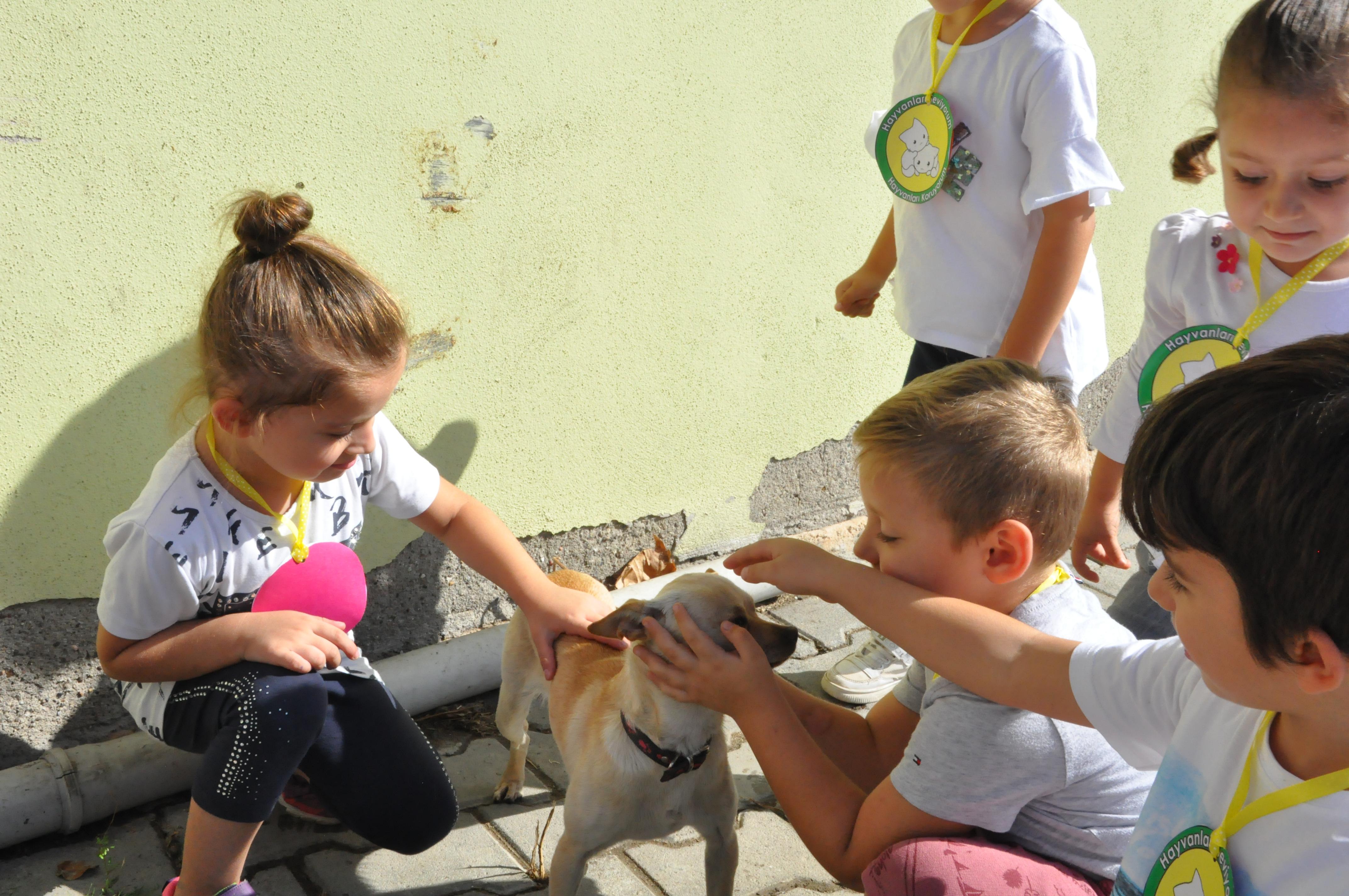 4 EKİM HAYVANLARI KORUMA GÜNÜNDE MİNİK ZİYARETÇİLER 