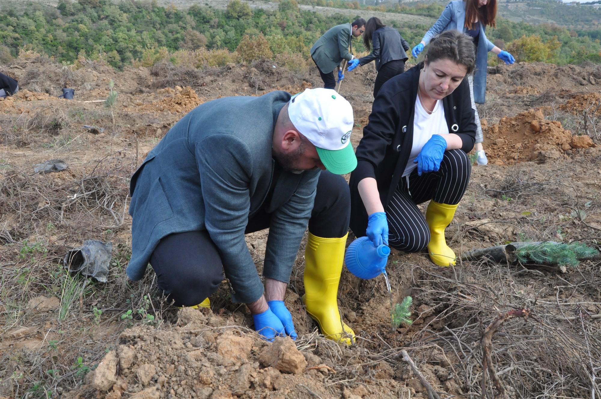 GELECEĞE NEFES İÇİN 10 BİN FİDAN 