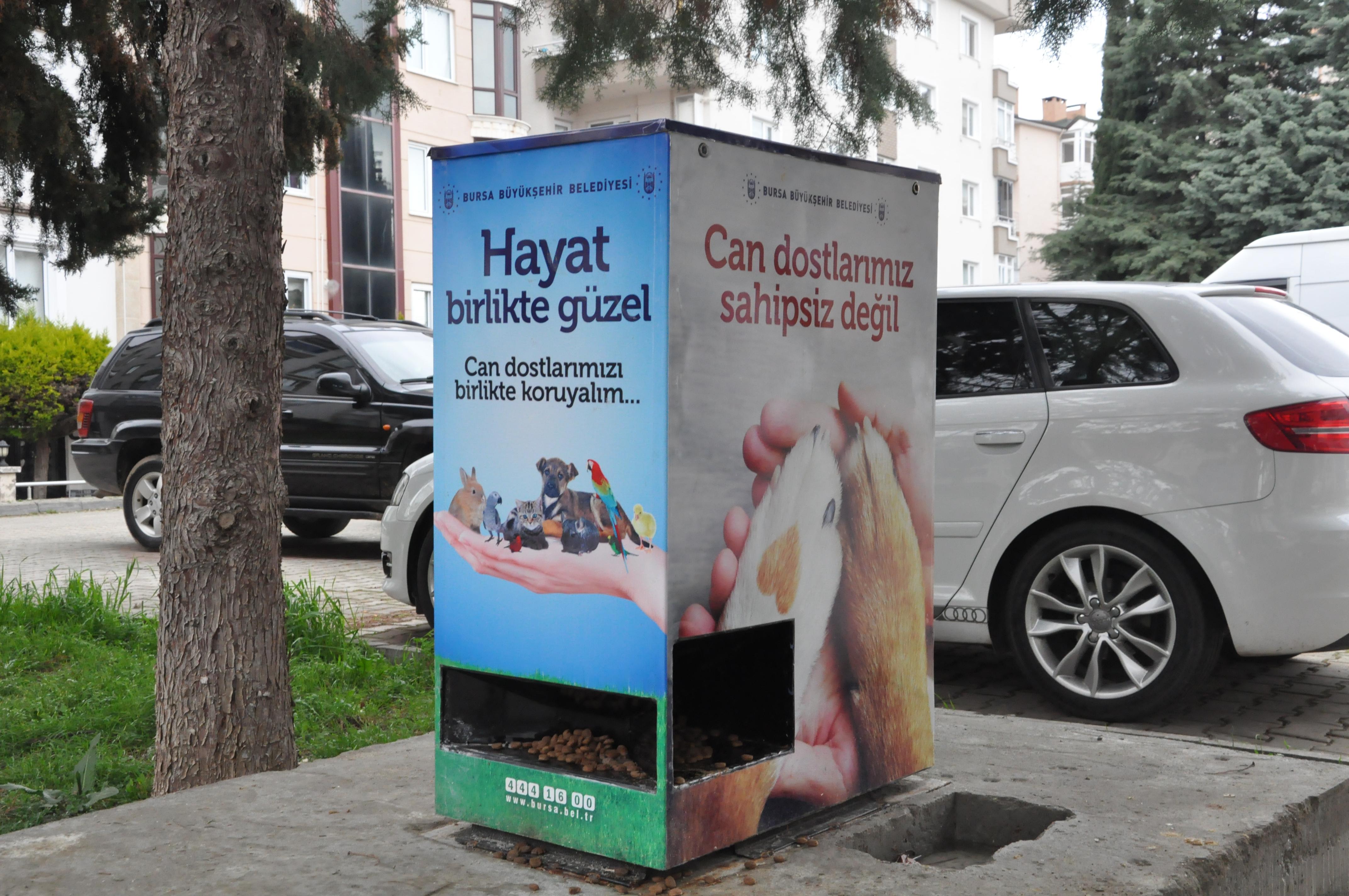 SOKAK HAYVANLARI KİMSESİZ DEĞİL 