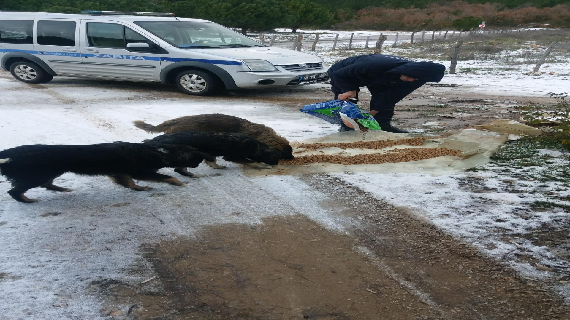 CAN DOSTLARIMIZIN İMDADINA BELEDİYE YETİŞTİ