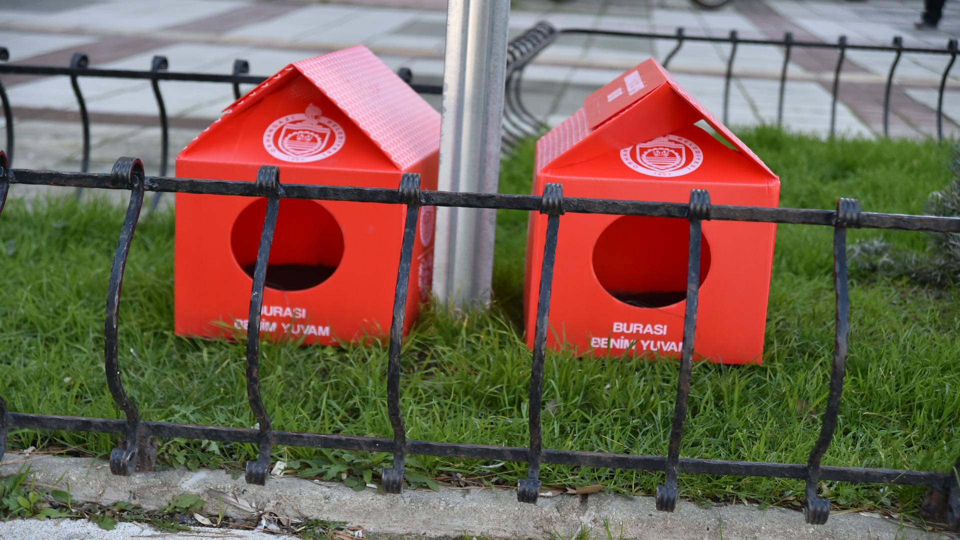 ORHANGAZİ’DE KEDİLER EV SAHİBİ OLDU