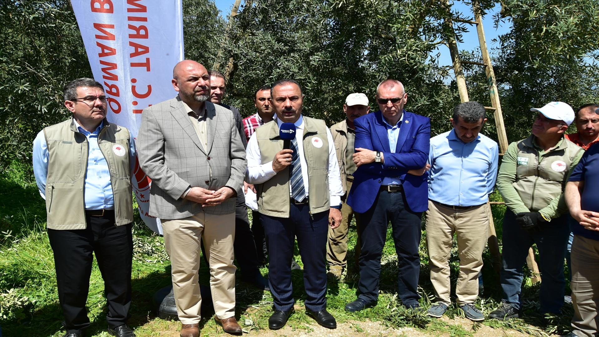 Başkan Bekir Aydın Budama Etkinliğine Katıldı