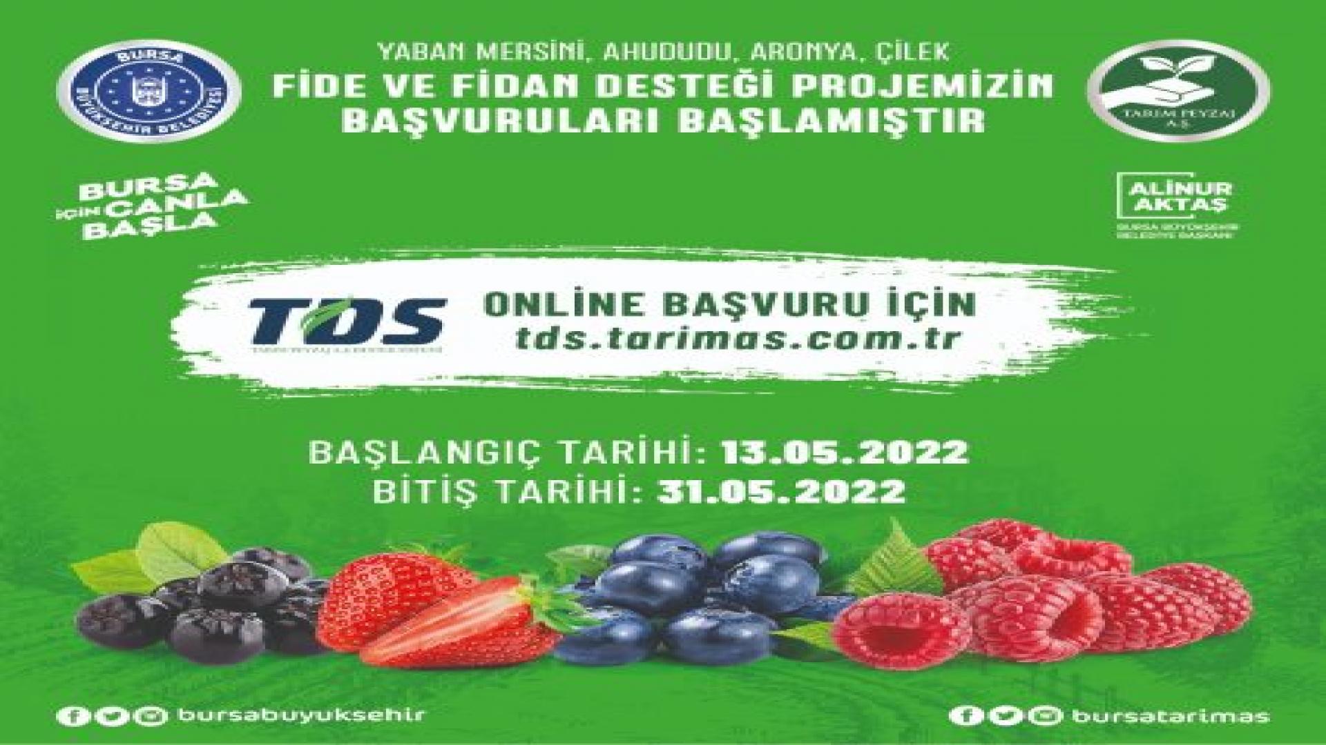 YABAN MERSİNİ, AHUDUDU, ARONYA VE ÇİLEK HİBE DESTEĞİ BAŞVURULARI BAŞLADI