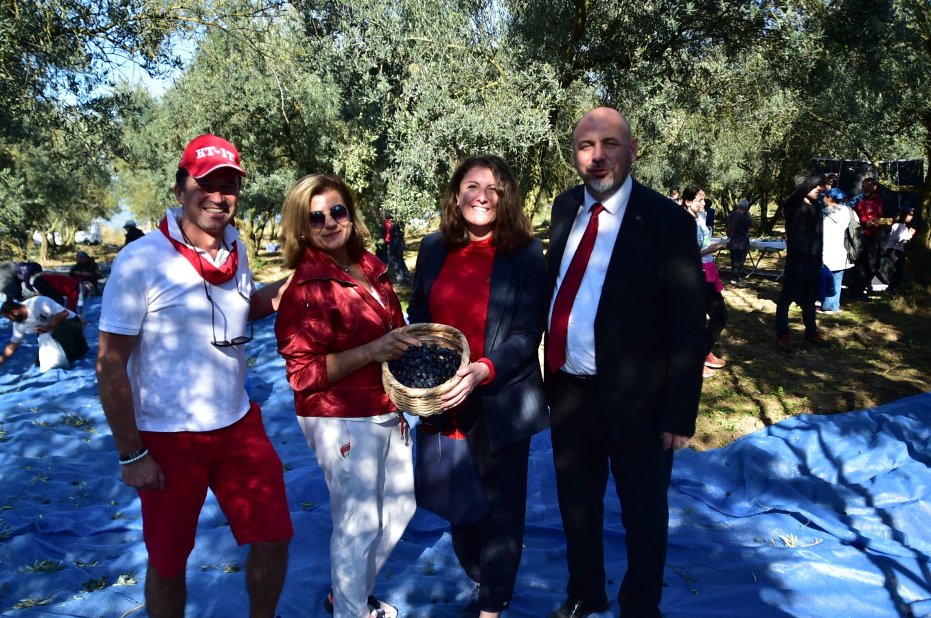 Başkan Aydın Kamp ve Karavan Festivalinde Katılımcılarla Zeytin Hasadı Yaptı.