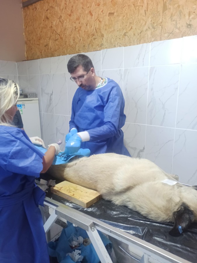 Can Dostlar Emin Ellerde.