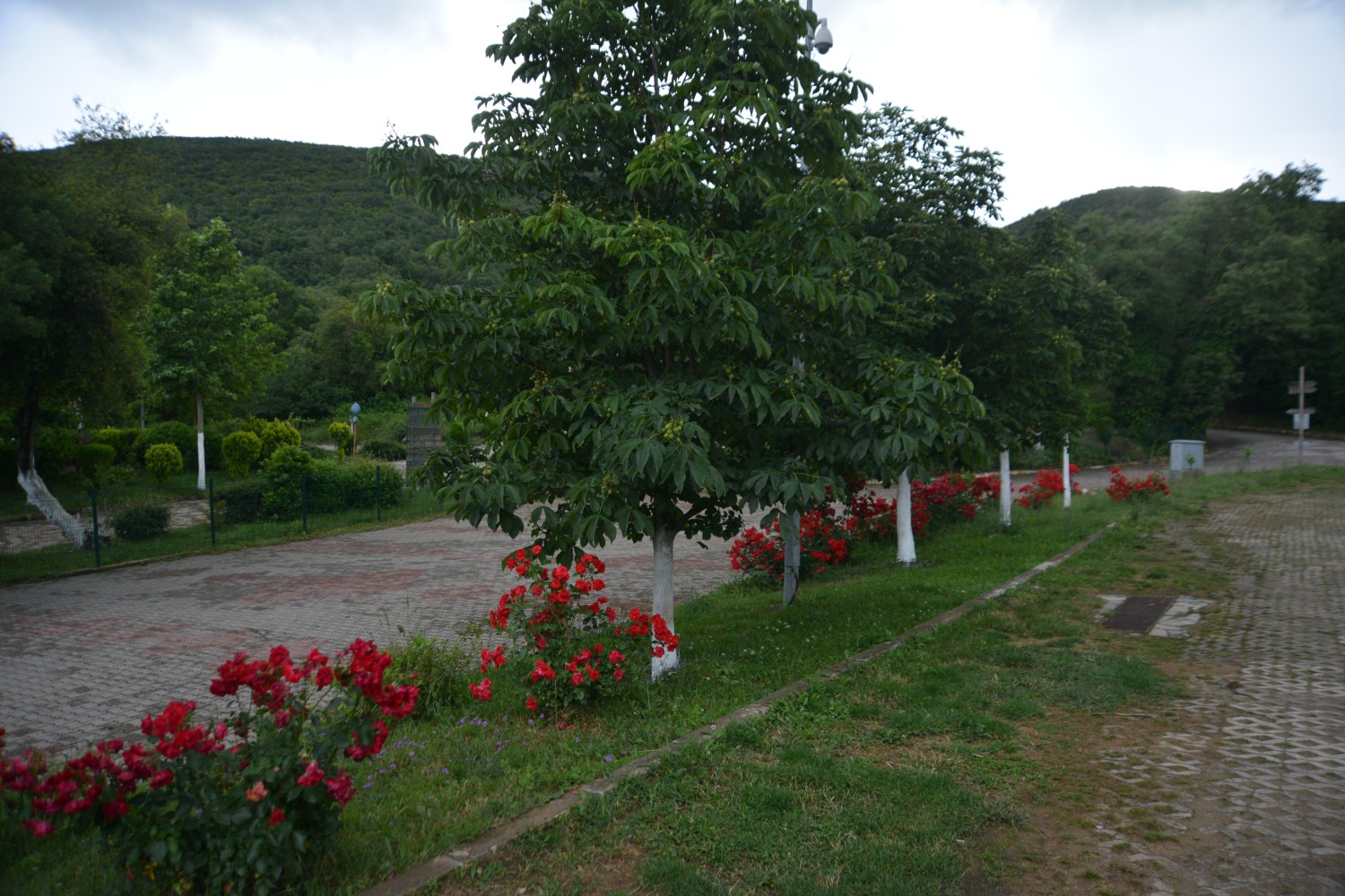 Nadir Sosyal Tesisleri Yeni Yüzüyle Halkimizin Hizmetinde 
