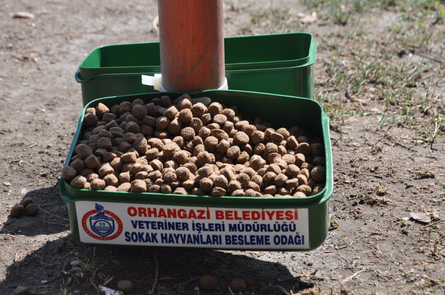 Orhangazi Belediyesi Sokak Hayvanlari Için Su ve Yem Koyulan Besleme Odaklarini Sehrin Muhtelif Yerlerine Yerlestirdi 