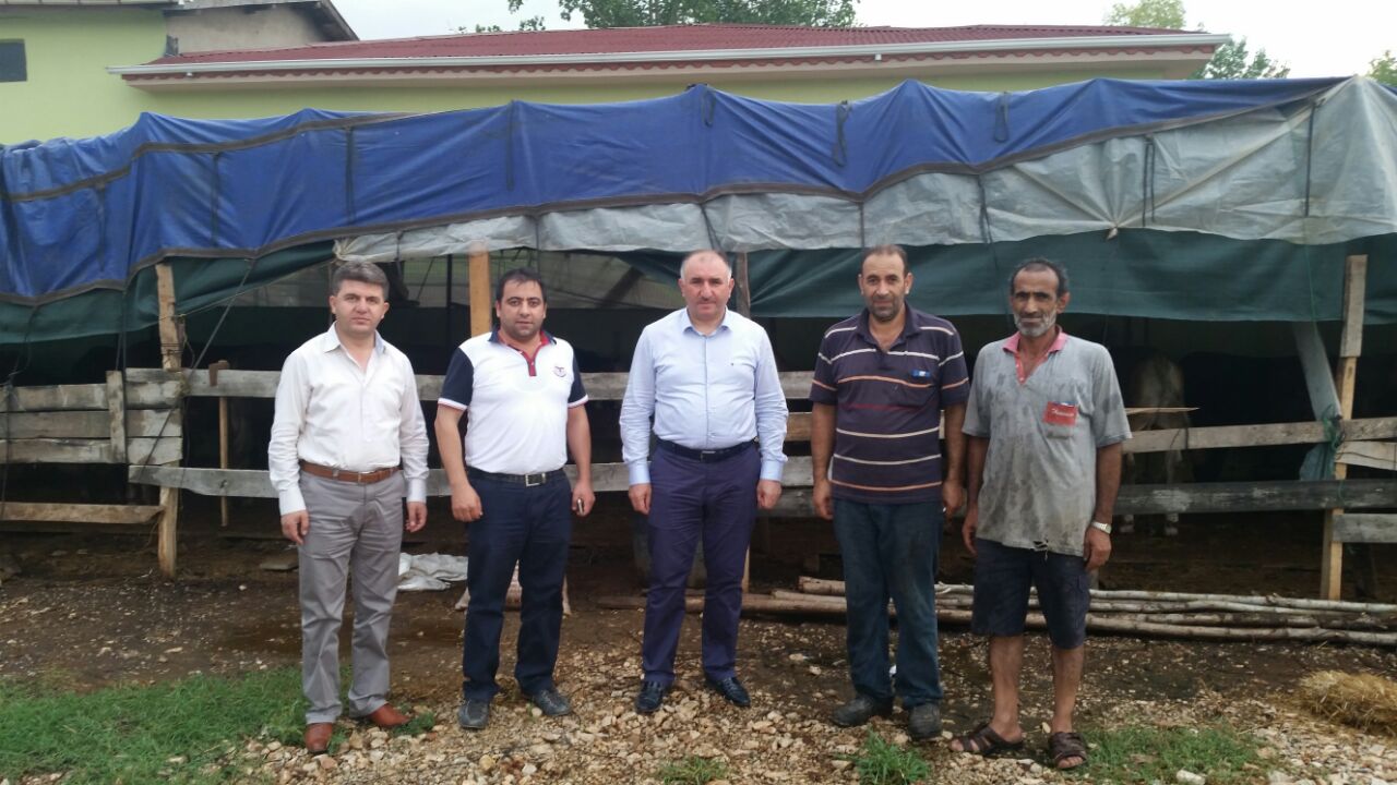 Belediye Baskani Neset Çaglayan, Kurban Pazarinde Baslatilan Çalismalari Yerinde Inceledi 