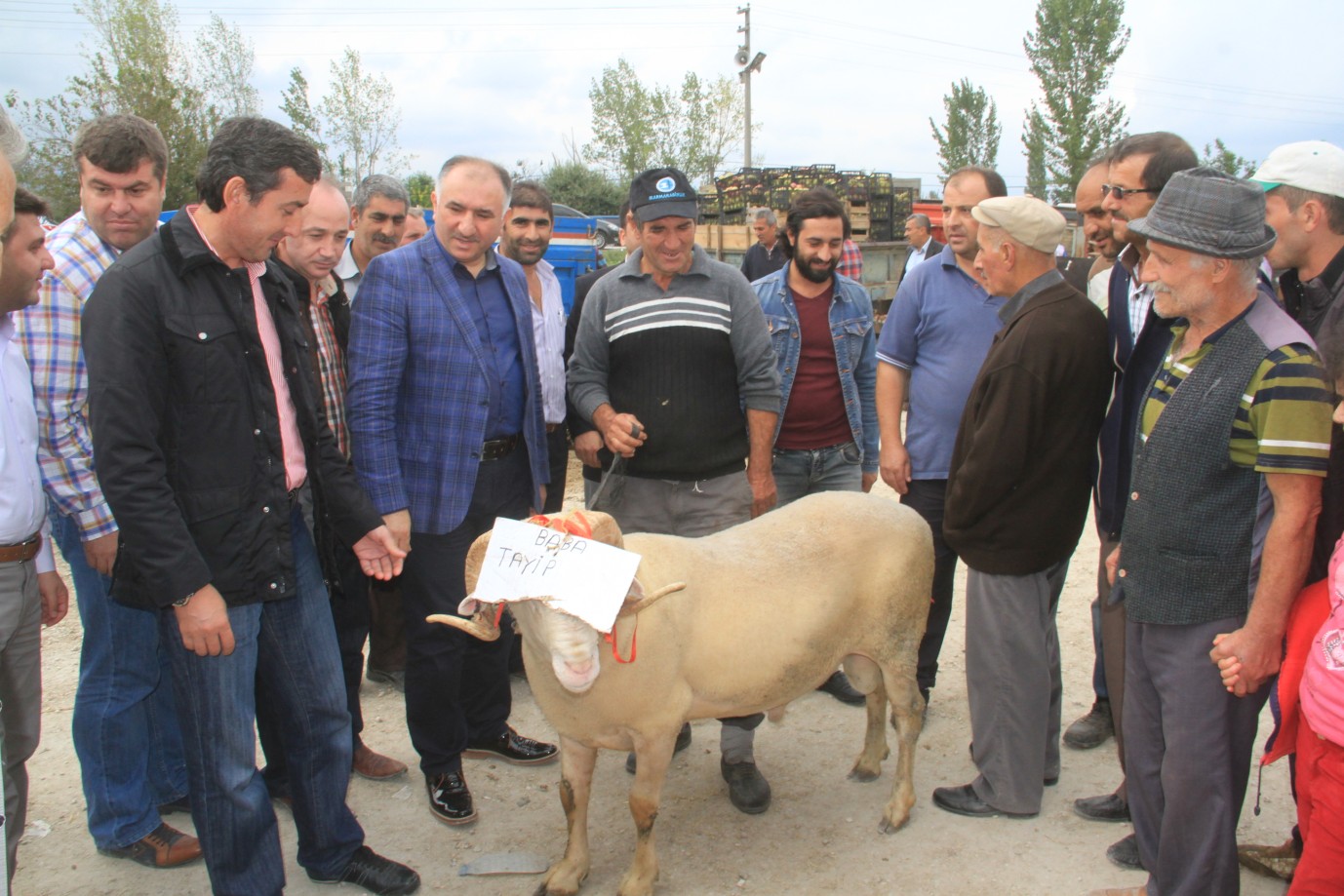 Belediye Baskani Çaglayan, Hayvan Pazarini Gezdi 