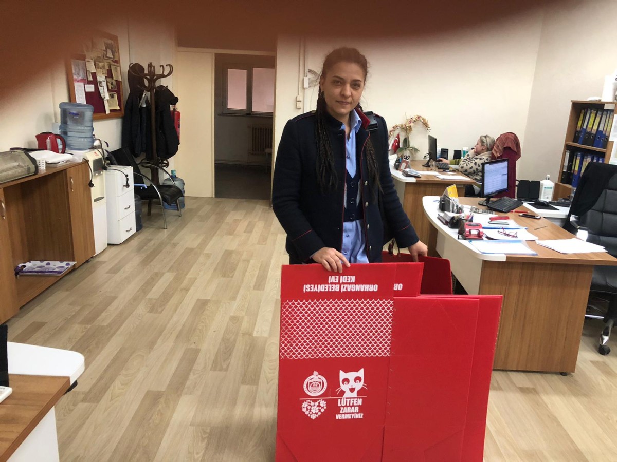 Orhangazi Belediyesi Soğuk Kış Günlerinde Kedilere Sıcak Yuva Sunacak