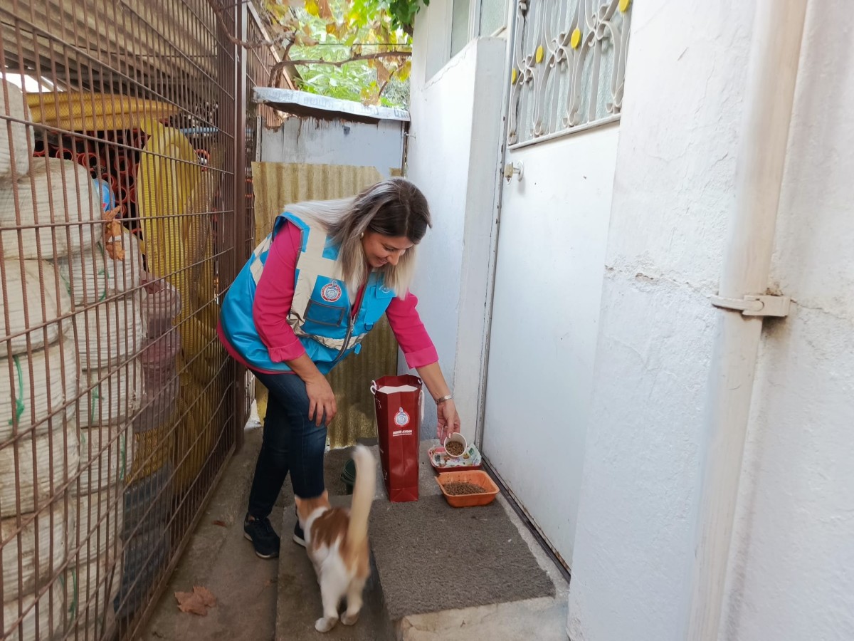 Orhangazi Belediyesinden Hayvansever Proje: Mavi Yelekliler ve Minik Eller Kaplara Mama, Kalplere Sevgi Bıraktı