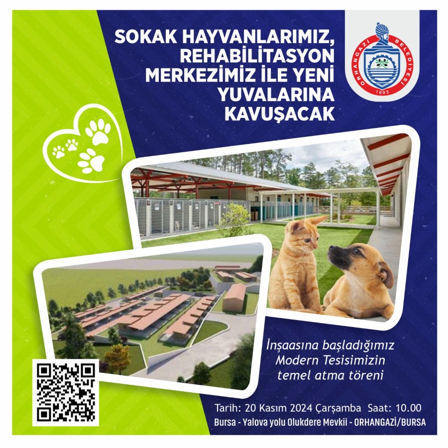 Orhangazi Belediyesi’nden Şefkat Eli: Sokak Hayvanlarına Yeni Yuva Geliyor