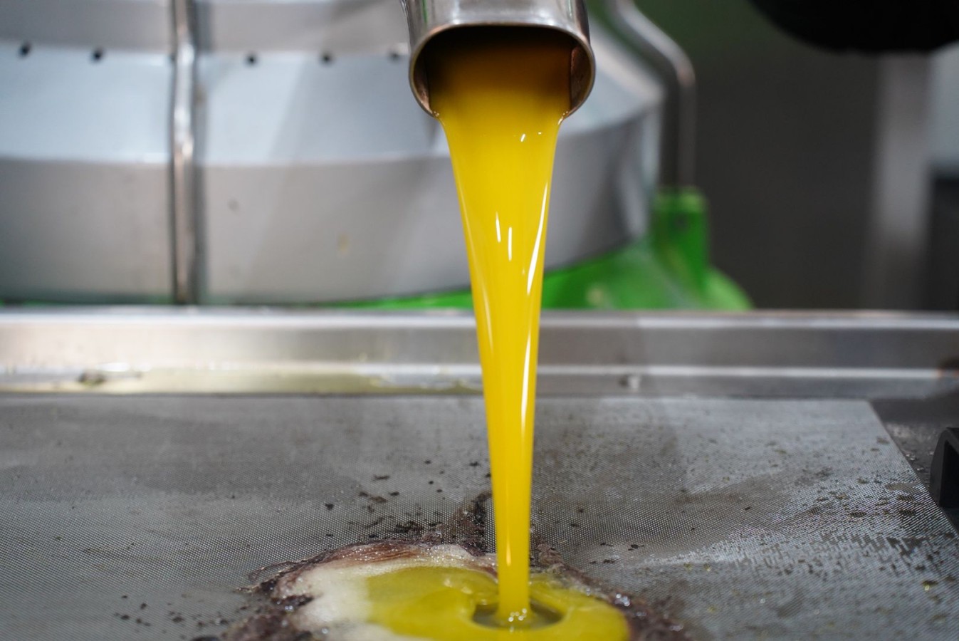 Orhangazi Belediyesinden Türkiye’ye Lezzet: Malhun Hatun Zeytinyağları Büyük İlgi Görüyor