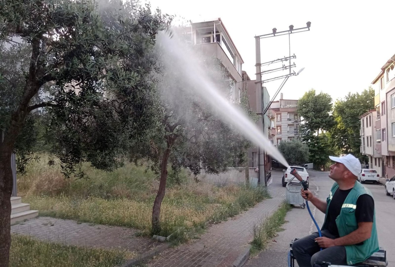 Orhangazi'nin Ağaçları Haşere Tehdidine Karşı Korunuyor
