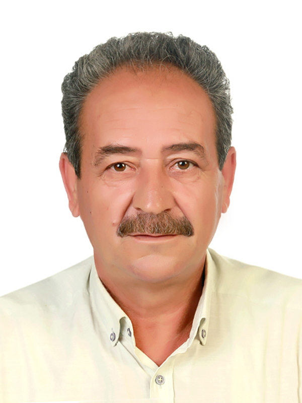 ALTAN GÜN
