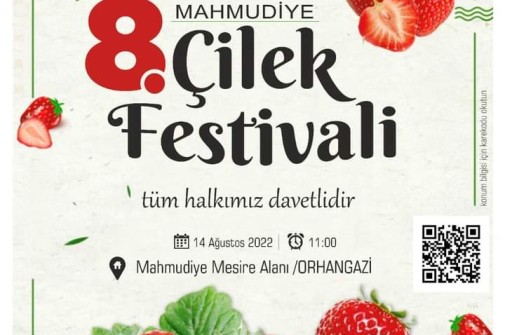 Mahmudiye Çilek Festivali Halkla Buluşmaya Hazır