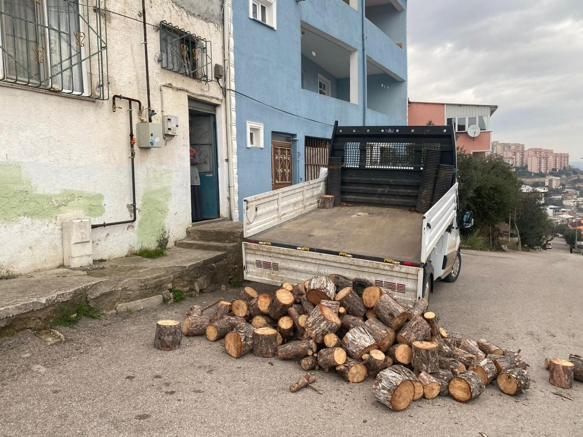 Budama Faaliyetlerinden Elde Edilen Odunlar İhtiyaç Sahiplerine Ulaştırılıyor