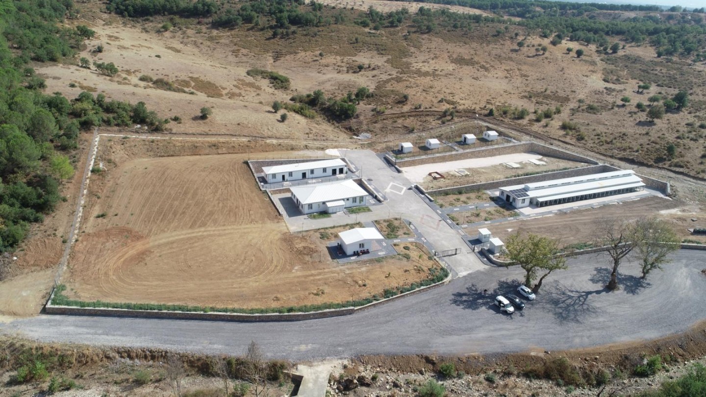 Orhangazi Belediyesi’nden Sokak Hayvanlarına Yönelik Çalışmalar Aralıksız Devam Ediyor